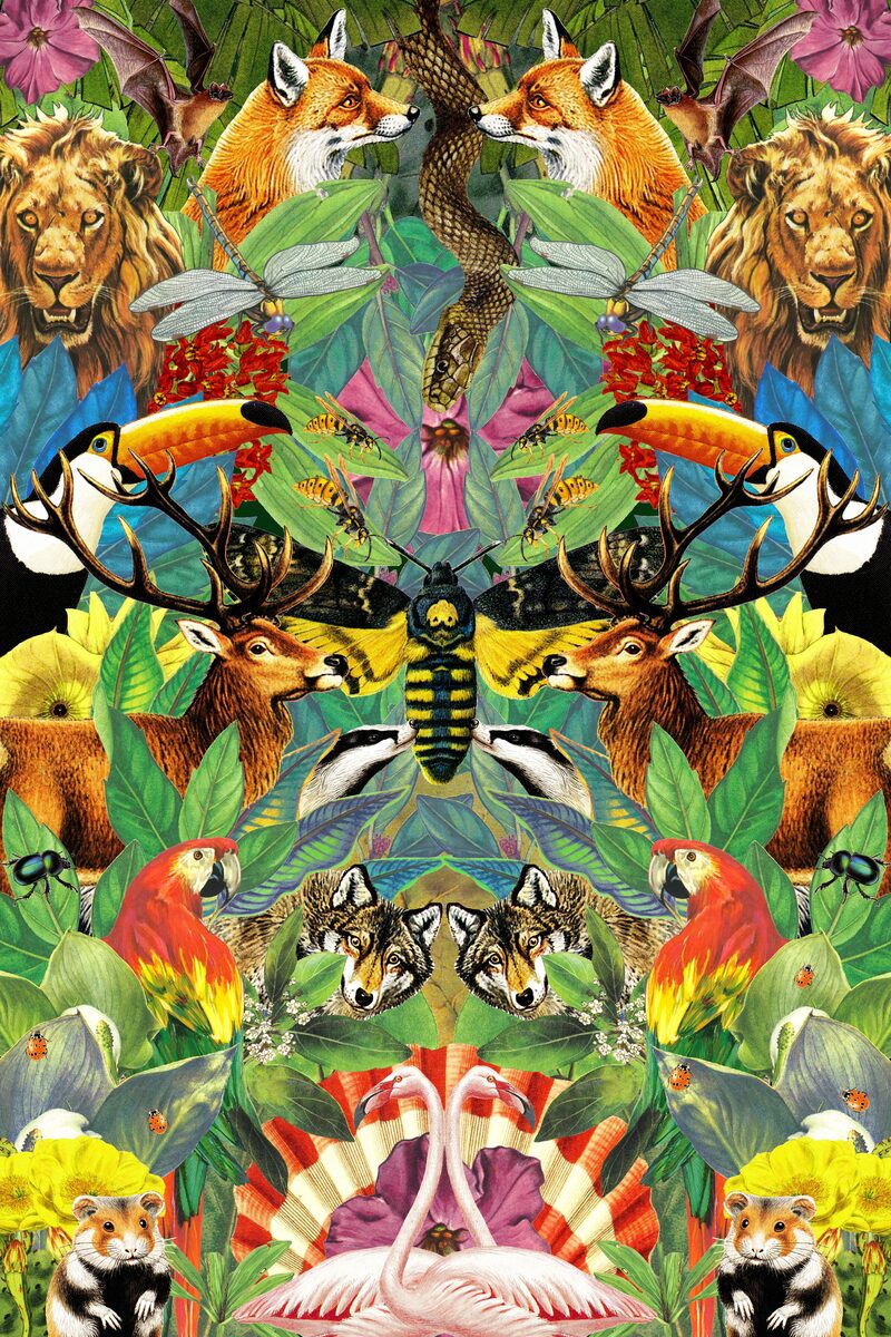 Mr Garcin — Jardin Intérieur, collage